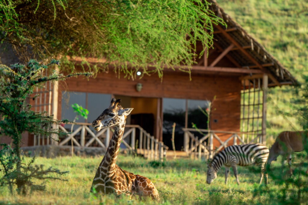 Serval Wildlife Sanctuary excursion near Weruweru River Lodge, Moshi Tanzania