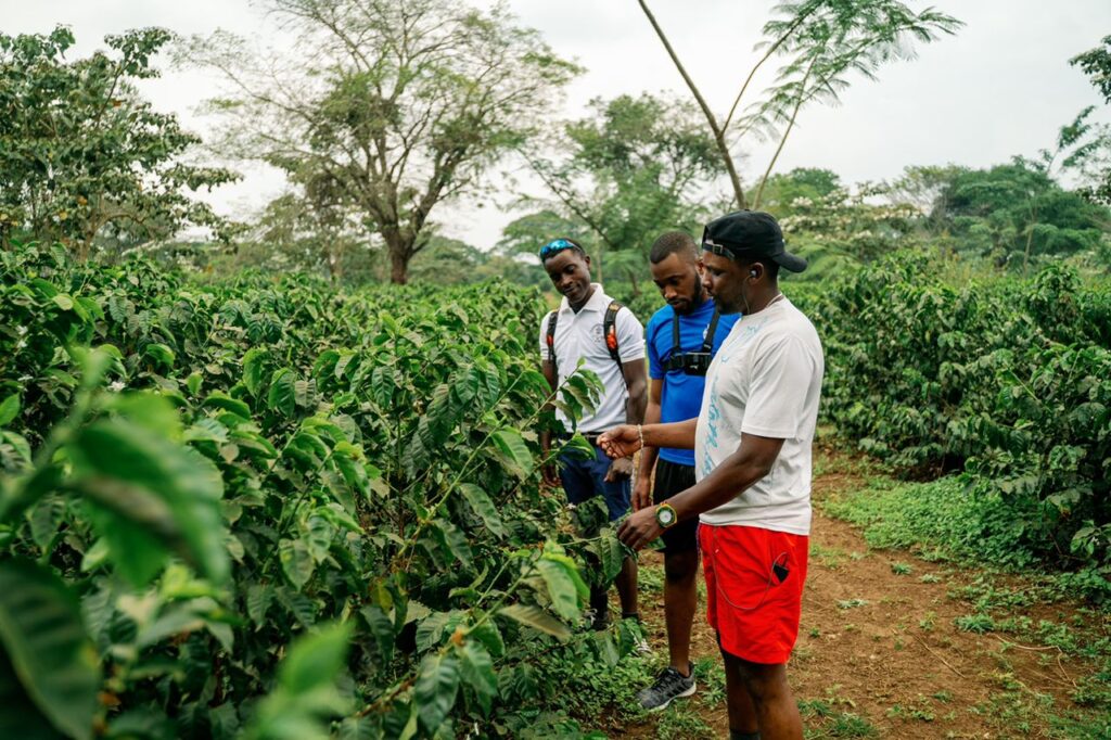 Coffee Plantation Tour excursion near Weruweru River Lodge, Moshi Tanzania