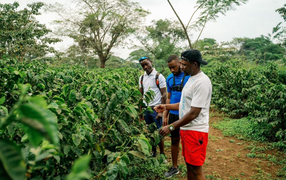 Coffee Plantation Tour excursion near Weruweru River Lodge, Moshi Tanzania