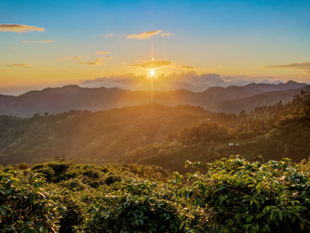 Marangu Tour