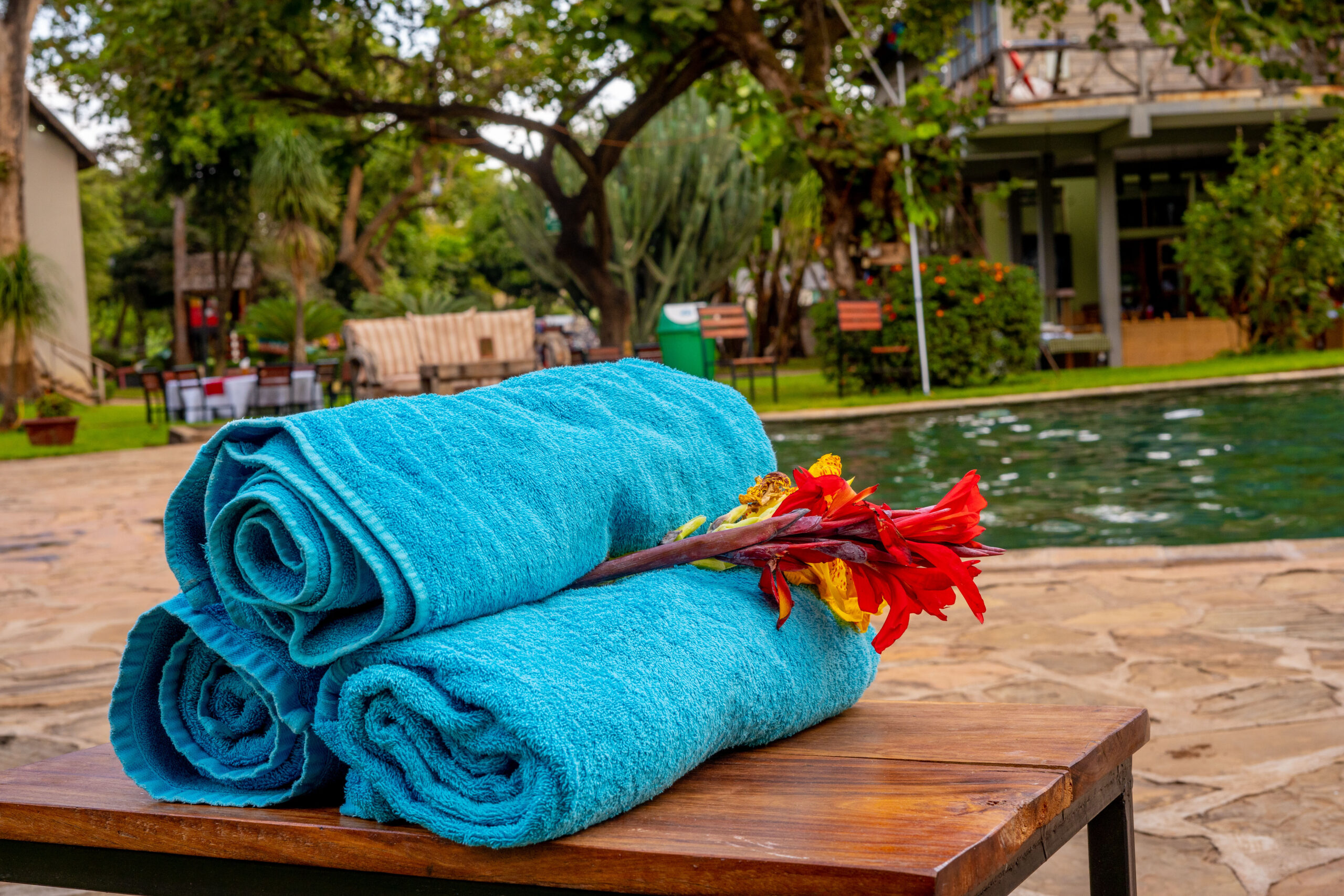 Eco-friendly Lodge