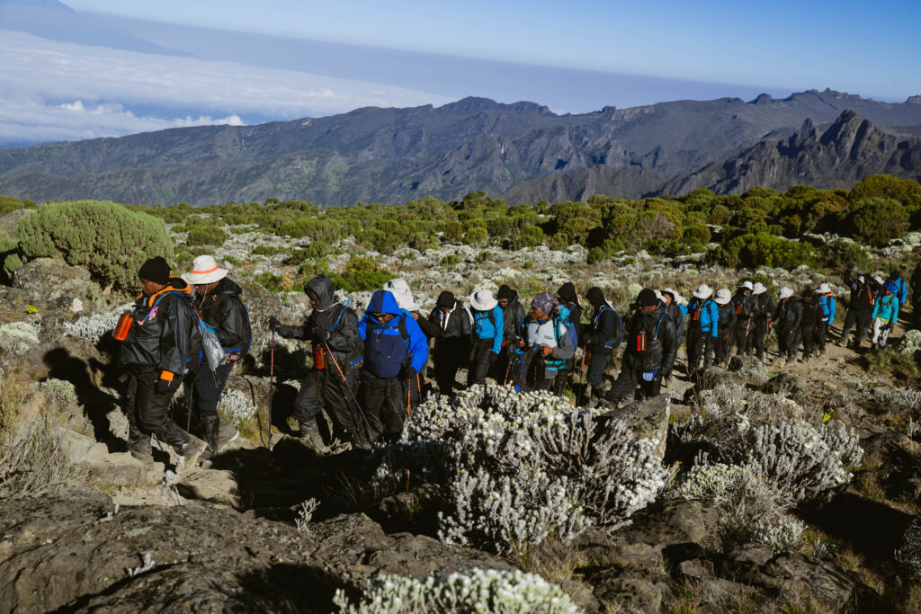 Kilimanjaro trekking
