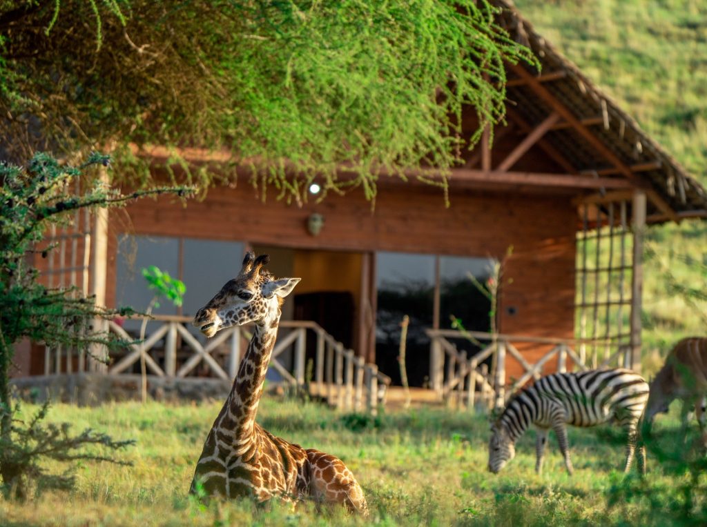 Serval Wildlife Sanctuary excursion near Weruweru River Lodge, Moshi Tanzania